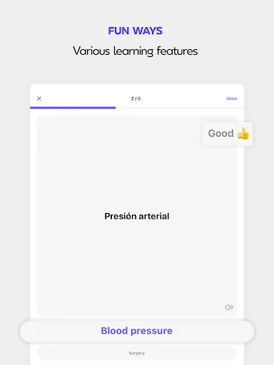 Download Onevoca – Flashcards Terbaru, Cara Mudah Belajar Kosakata - Screenshot 8