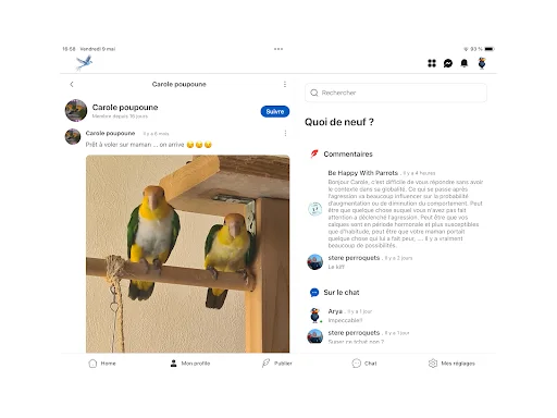 Download Oiseaux2France Terbaru – Komunitas Pecinta Burung - Screenshot 17