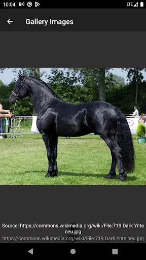 Download Horse breeds – Photos Terbaru – Panduan Kuda Lengkap - Screenshot 5