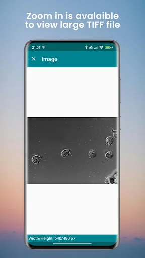 Download TIFF Viewer Terbaru – Konversi File TIFF Gratis & Mudah - Screenshot 4