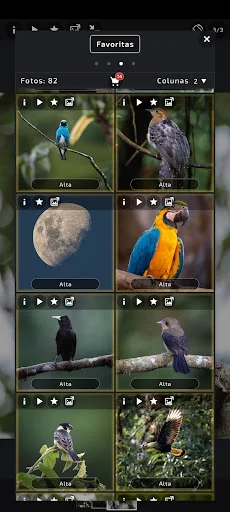 Download FO Gallery Terbaru – Gambar Resolusi Tinggi Gratis - Screenshot 18