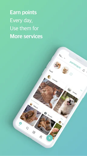 Download Petstapic Terbaru – Ruang Komunitas Hewan Peliharaan - Screenshot 1