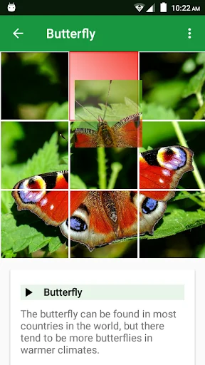 Download Wild Animals Puzzle Terbaru – Game Edukasi Anak Seru - Screenshot 2