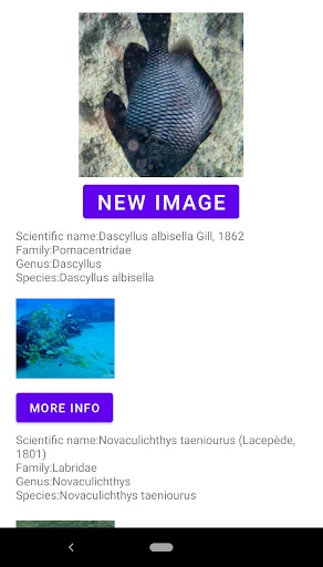 Unduh Fish Identifier APK – Identifikasi Spesies Ikan Instan - Screenshot 9