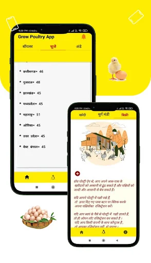 Unduh Broiler Rate Grow Poultry – Update Harga Ayam Harian - Screenshot 5