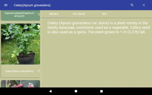 Download Herbal Remedies Terbaru – Panduan Tanaman Obat Gratis - Screenshot 4