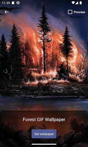 Download Forest GIF Wallpaper Terbaru – Wallpaper Estetik Gratis - Screenshot 4