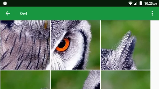 Download Wild Animals Puzzle Terbaru – Game Edukasi Anak Seru - Screenshot 6