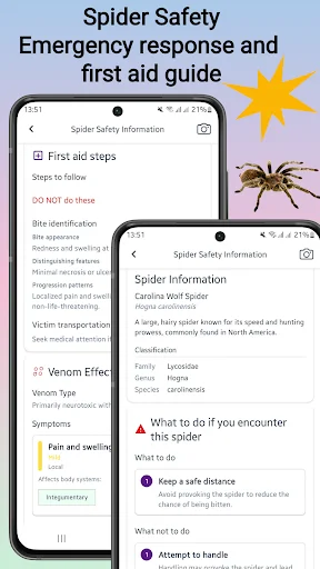 Download Spider Identifier Versi Terbaru – Identifikasi Laba-laba - Screenshot 4