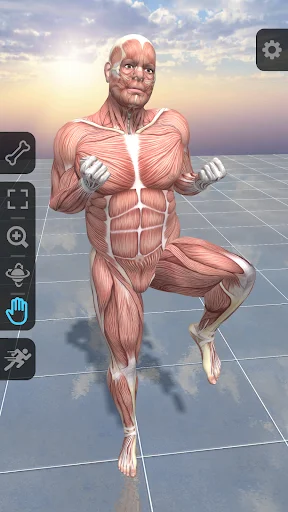 Download Pro Poser 3D Model Poses – Referensi Anatomi Terbaik - Screenshot 3