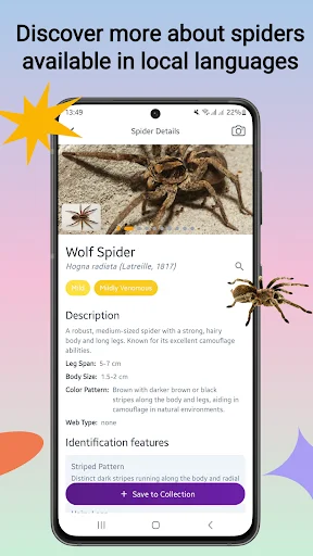 Download Spider Identifier Versi Terbaru – Identifikasi Laba-laba - Screenshot 2