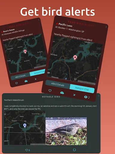 Download BirdingApp Terbaru – Pantau Burung Langka & Komunitas - Screenshot 20