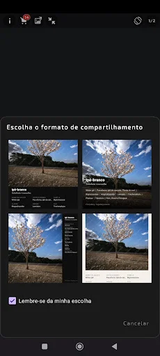 Download FO Gallery Terbaru – Gambar Resolusi Tinggi Gratis - Screenshot 5