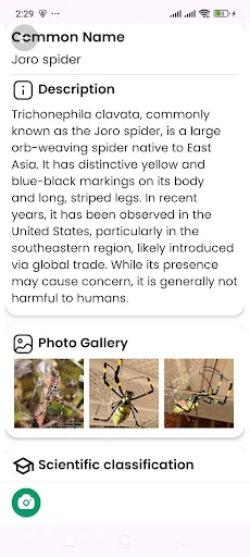 Download Spider Identifier Versi Terbaru – Identifikasi Laba-laba - Screenshot 18
