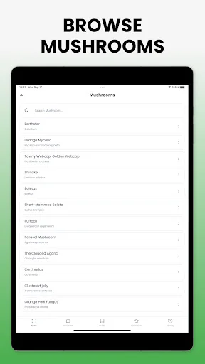 Download Mushroom Identifier Mushby Terbaru – Deteksi Jamur AI - Screenshot 14