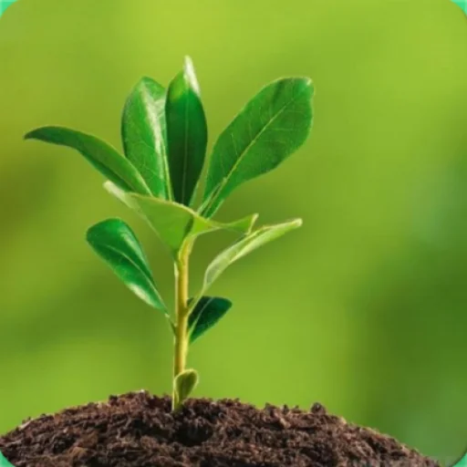 Download Environmental Ecology Terbaru – Aplikasi Edukasi Gratis