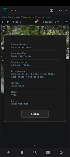 Download FO Gallery Terbaru – Gambar Resolusi Tinggi Gratis - Screenshot 12