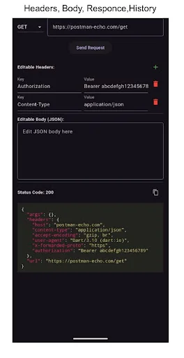 Download Postman Mini API Testing Tool Terbaru – Debug API Gratis - Screenshot 4