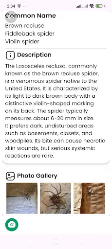 Download Spider Identifier Versi Terbaru – Identifikasi Laba-laba - Screenshot 20