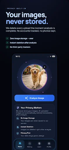 Download Deepfake Detector: AI Check Terbaru – Deteksi Gambar AI - Screenshot 7