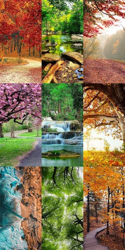Download Nature Escape HD Wallpapers – Background Alam Gratis - Screenshot 13