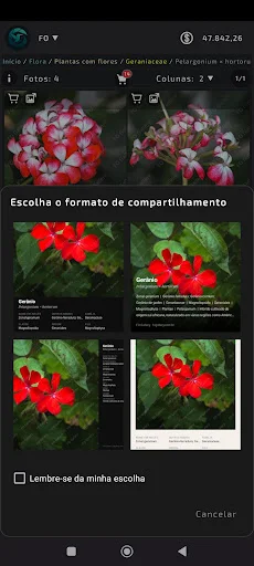 Download FO Gallery Terbaru – Gambar Resolusi Tinggi Gratis - Screenshot 3