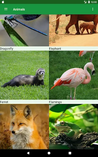 Download Wild Animals Puzzle Terbaru – Game Edukasi Anak Seru - Screenshot 9