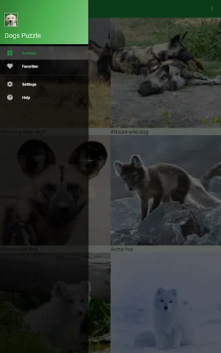 Download Dogs Puzzle Terbaru – Game Teka-Teki Anjing Seru Gratis - Screenshot 18