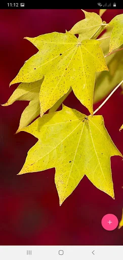 Download 50000 Wallpapers 4K, HD, 3D Terbaru – Gratis & Keren - Screenshot 5