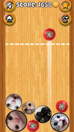 Download Meme Cat Sim: Cozy Home Terbaru – Game Kucing Lucu - Screenshot 2