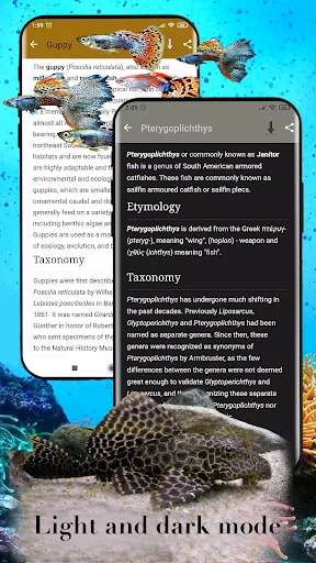 Download Aquarium Fish Terbaru – Panduan Perawatan Ikan Gratis - Screenshot 5