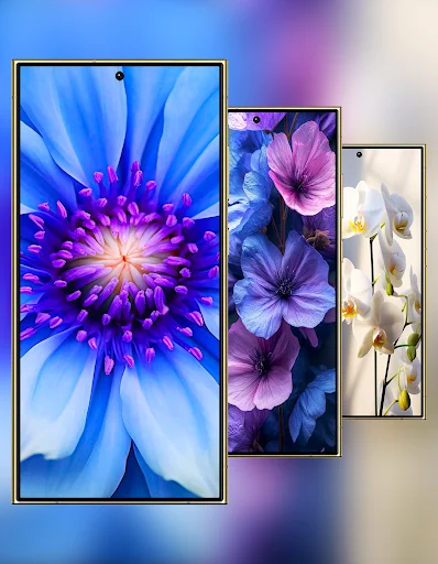 Download Wallpaper Galaxy S24 Ultra Terbaru – Kualitas HD Gratis - Screenshot 12