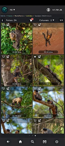 Download FO Gallery Terbaru – Gambar Resolusi Tinggi Gratis - Screenshot 20