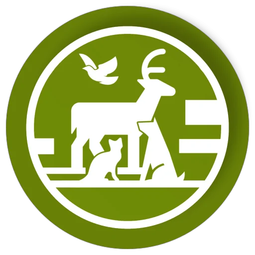 Download Animal Live Cams Terbaru – Tonton Satwa Liar Gratis