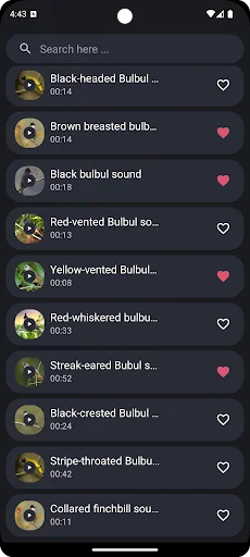 Download Suara Burung Kutilang Terbaru – Koleksi Kicau Gratis - Screenshot 4