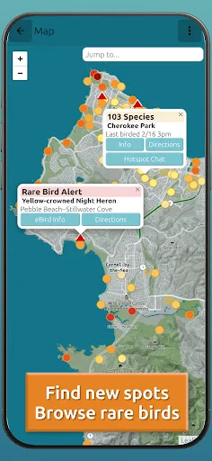 Download BirdingApp Terbaru – Pantau Burung Langka & Komunitas - Screenshot 4