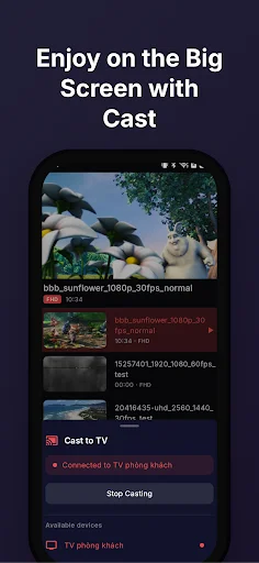Download VidMax Terbaru – Pemutar Video Privat & Aman - Screenshot 7