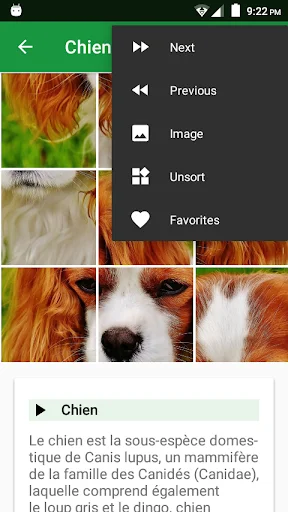 Download Dogs Puzzle Terbaru – Game Teka-Teki Anjing Seru Gratis - Screenshot 4