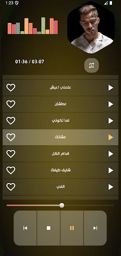 Download Lagu Silawi Terbaru 2025 Offline – Musik Gratis & Lengkap - Screenshot 4