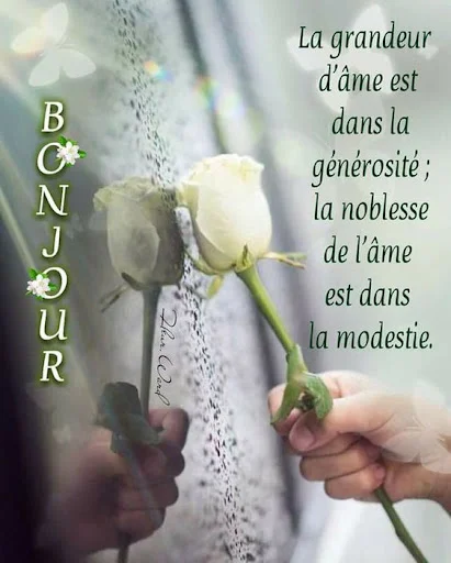 Download Bonjour Wallpaper Terbaru – Gambar Indah Setiap Hari - Screenshot 7