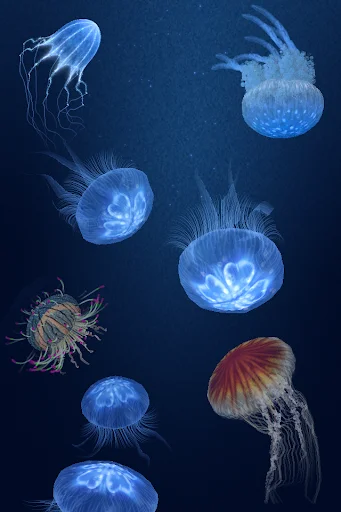 Download Jellyfish Heaven – Relax Time APK Terbaru Gratis - Screenshot 6