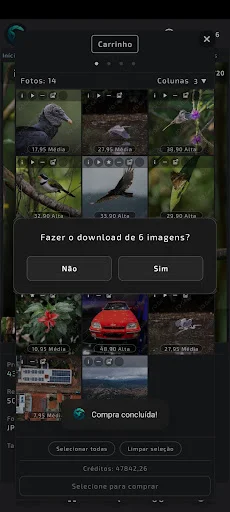 Download FO Gallery Terbaru – Gambar Resolusi Tinggi Gratis - Screenshot 10