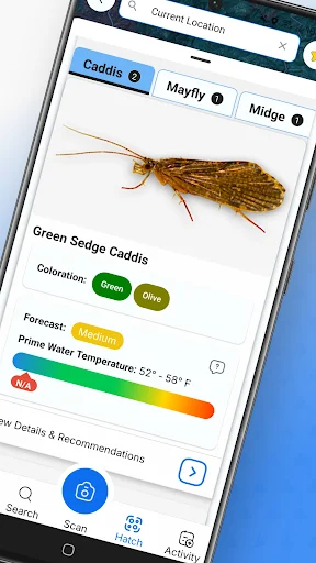 Download IdentaFly Terbaru – Panduan Memancing Fly Fishing - Screenshot 2
