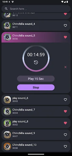 Download Suara Chinchilla Terbaru – Nada Dering Lucu Gratis - Screenshot 3
