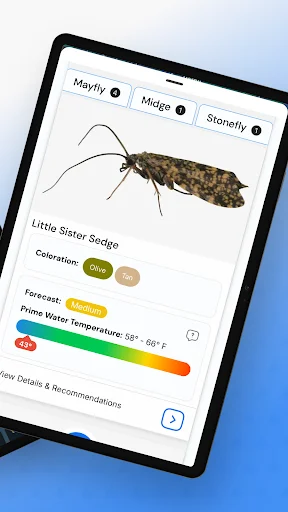 Download IdentaFly Terbaru – Panduan Memancing Fly Fishing - Screenshot 9