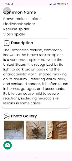 Download Spider Identifier Versi Terbaru – Identifikasi Laba-laba - Screenshot 7
