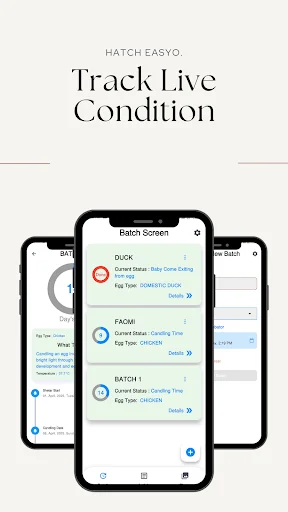 Download Hatch Easy Terbaru – Aplikasi Penetasan Telur Gratis - Screenshot 1