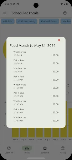 Download Cashflow Terbaru – Kelola Keuangan Pribadi Gratis - Screenshot 7