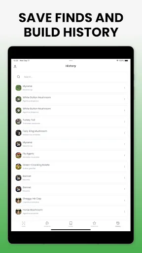 Download Mushroom Identifier Mushby Terbaru – Deteksi Jamur AI - Screenshot 12