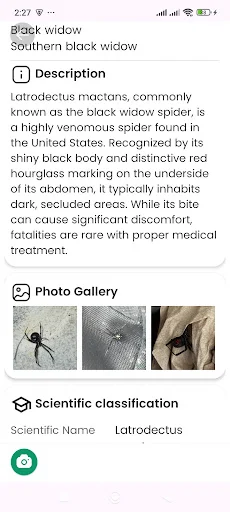 Download Spider Identifier Versi Terbaru – Identifikasi Laba-laba - Screenshot 9
